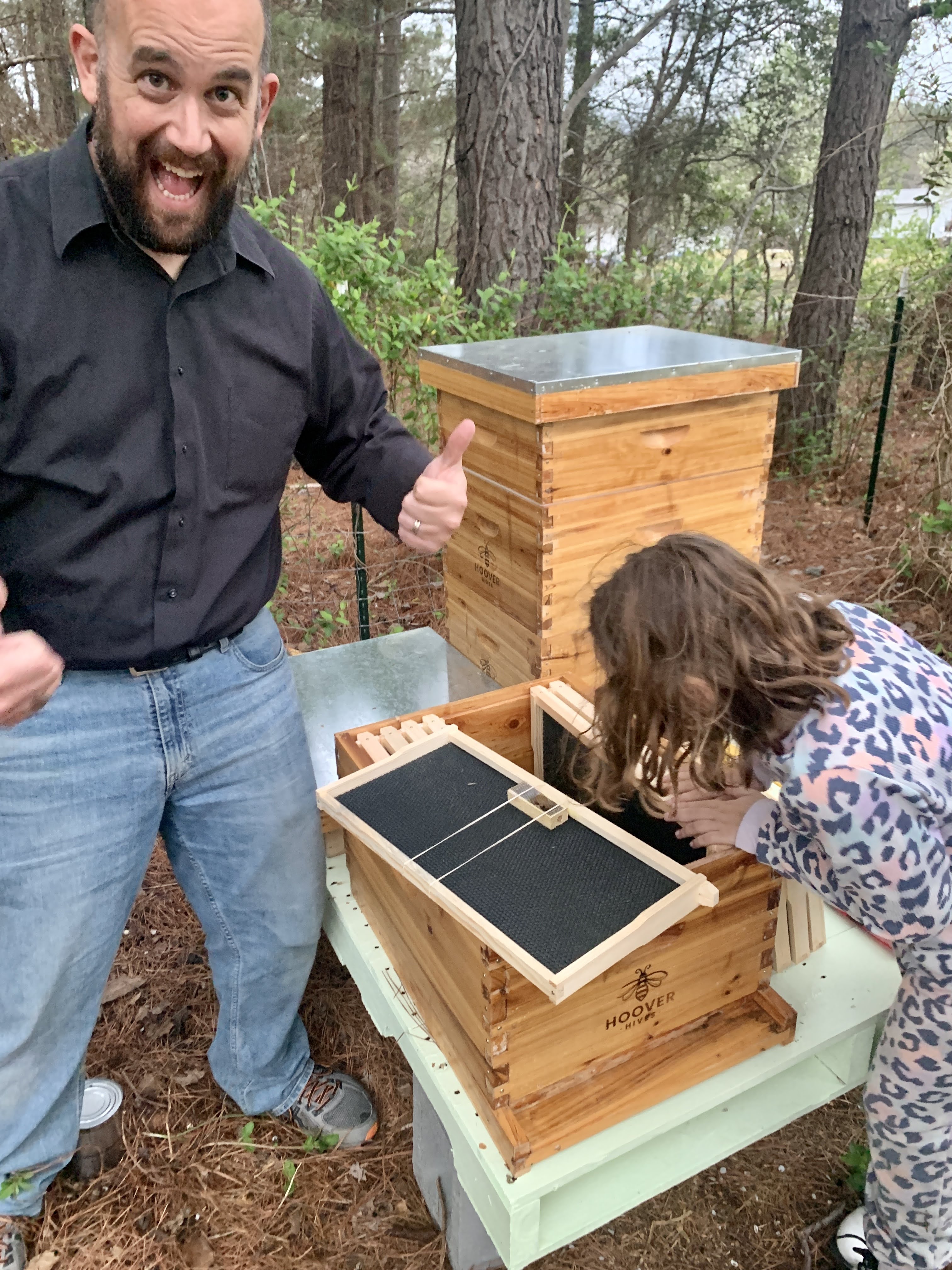 Honey Bees